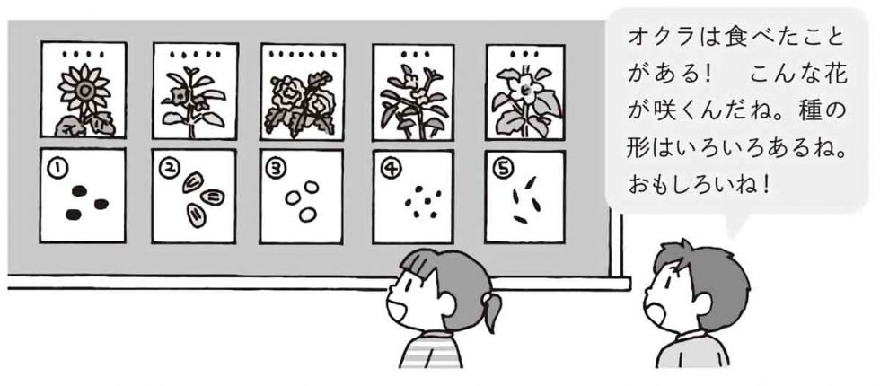 小3理科「植物をそだてよう」指導アイデア｜みんなの教育技術