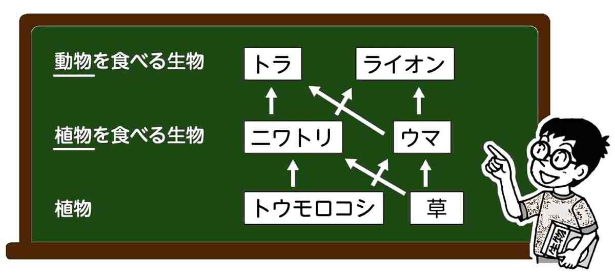 小6理科「生物と環境①」指導アイデア｜みんなの教育技術