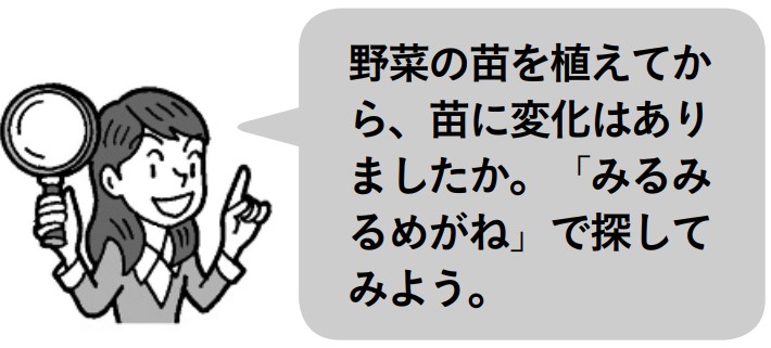 先生「野菜の苗を植えてから、苗に変化はありましたか。『みるみるめがね』で探してみよう。」