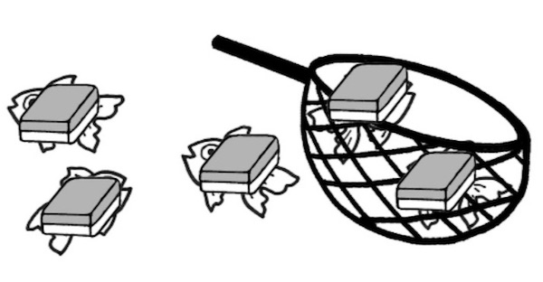 5つのブロックのうち2つが網に入れられている様子