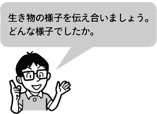 先生「生き物の様子を伝え合いましょう。どんな様子でしたか。」