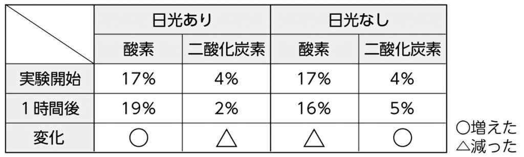 日光あり・なしでの実験結果