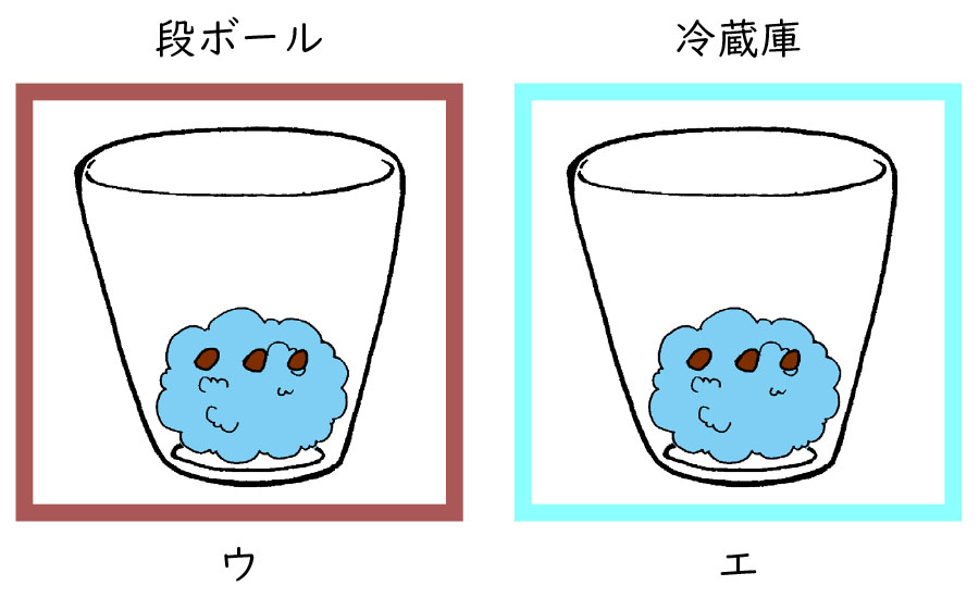 小5理科 植物の発芽と成長 指導アイデア みんなの教育技術