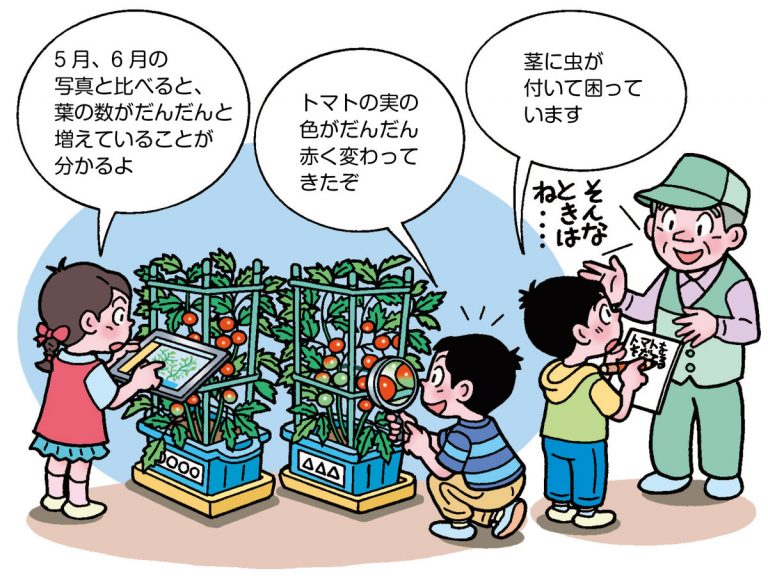 ミニトマトを観察する子供