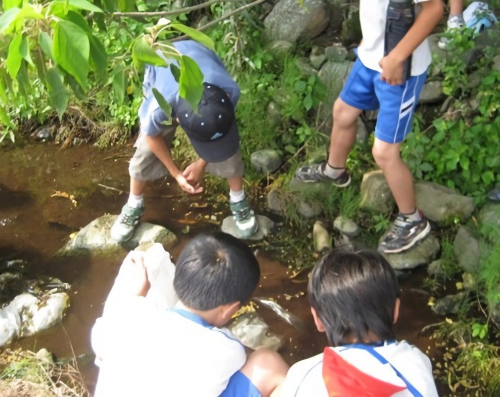 地域の川の調査活動を行う子供たち。