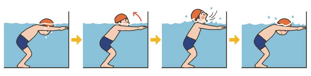 小5体育「水泳運動」 イラスト