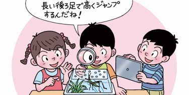 学級で飼育することになったショウリョウバッタの観察をする子供たち。