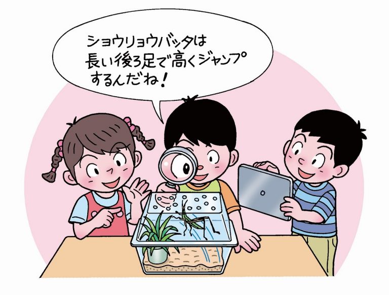学級で飼育することになったショウリョウバッタの観察をする子供たち。