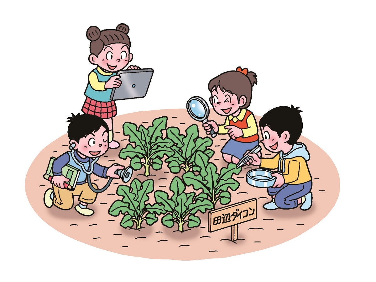 小2生活「冬野さいをそだてよう～ダイコン～」指導アイデア｜みんなの