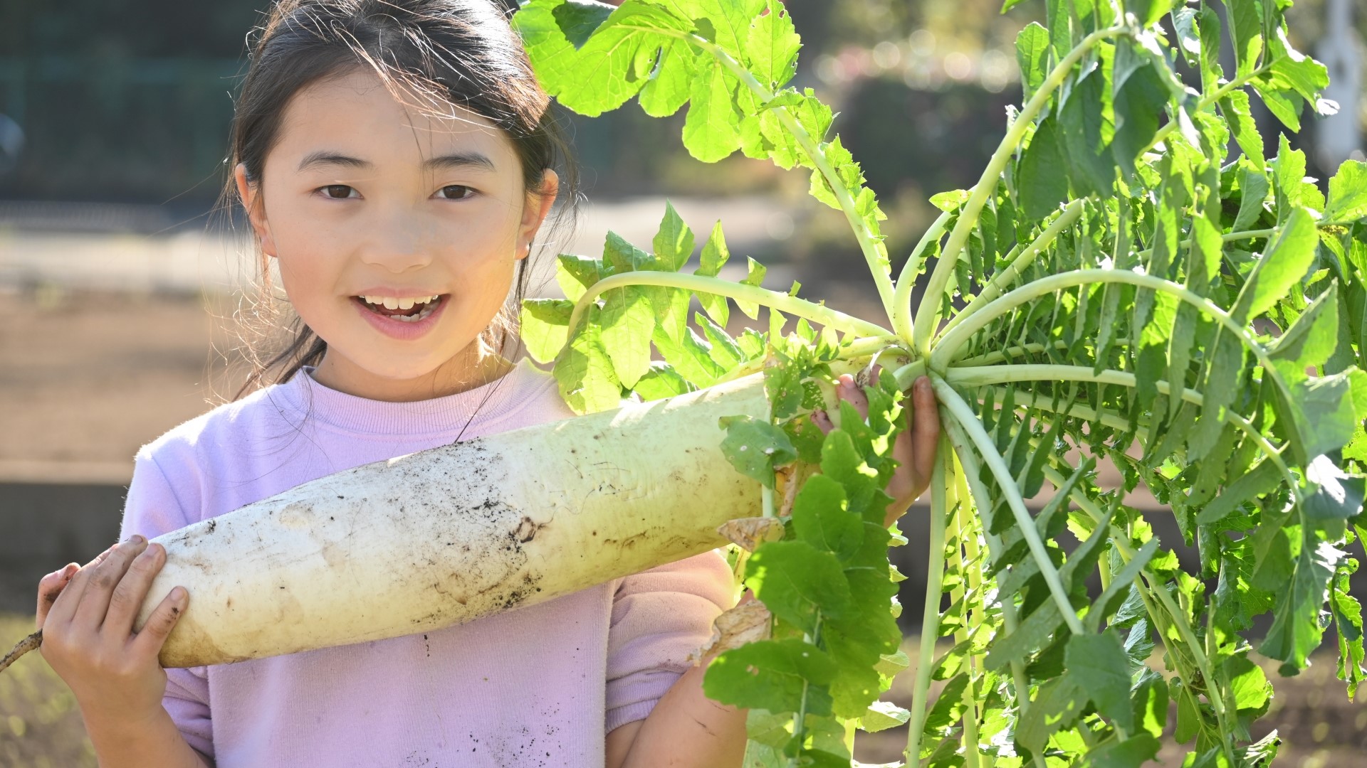 小２生活 冬やさいをそだてよう にこにこ大根マスターになろう 指導アイデア みんなの教育技術