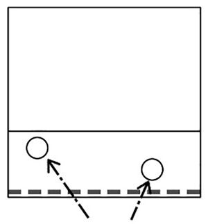ちょこんと作戦