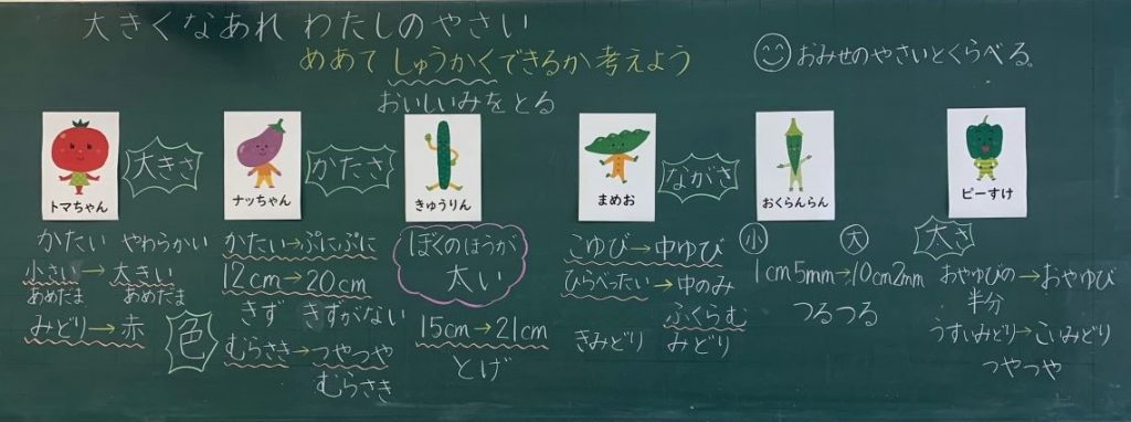 「大きくなあれ！ わたしの野さい！」小単元４板書例