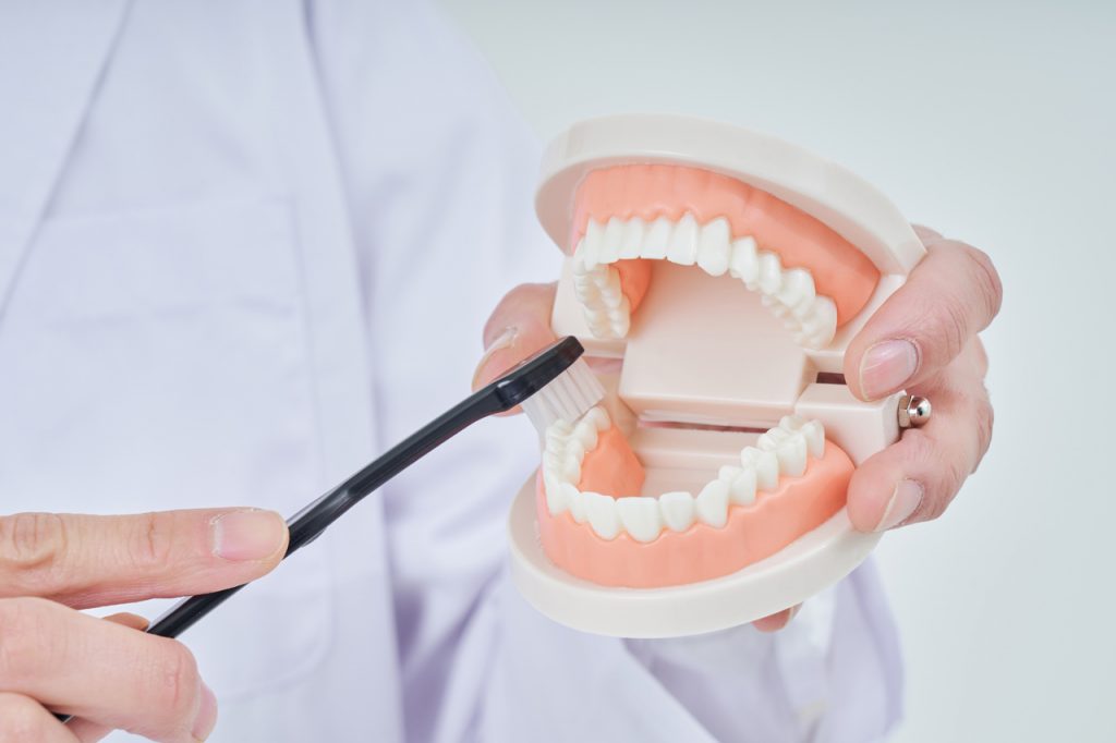 歯の模型を使って、正しい歯磨きの仕方を見せる養護教諭