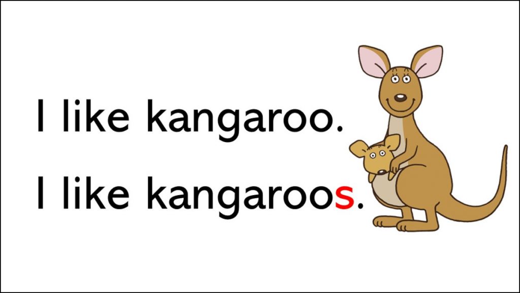 I like kangaroo.と I like kangaroos.の違い