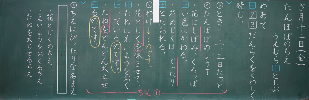 小2国語「たんぽぽのちえ」京女式板書の技術　板書例