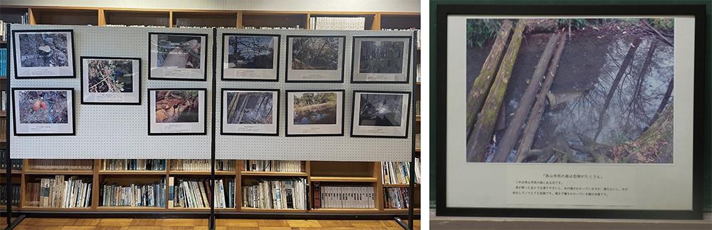 （写真２）地元公民館で開催された「市民の森ポスター・写真展」の様子。森の美しさを伝える写真や、倒木が放置された池といった問題点を伝える写真など、多様な展示。