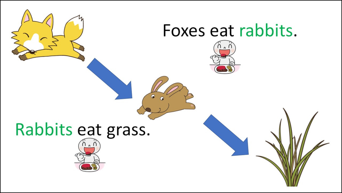 小6らくらくUnit 5「We all live on the Earth.｣⑤⑥【モトヨシ