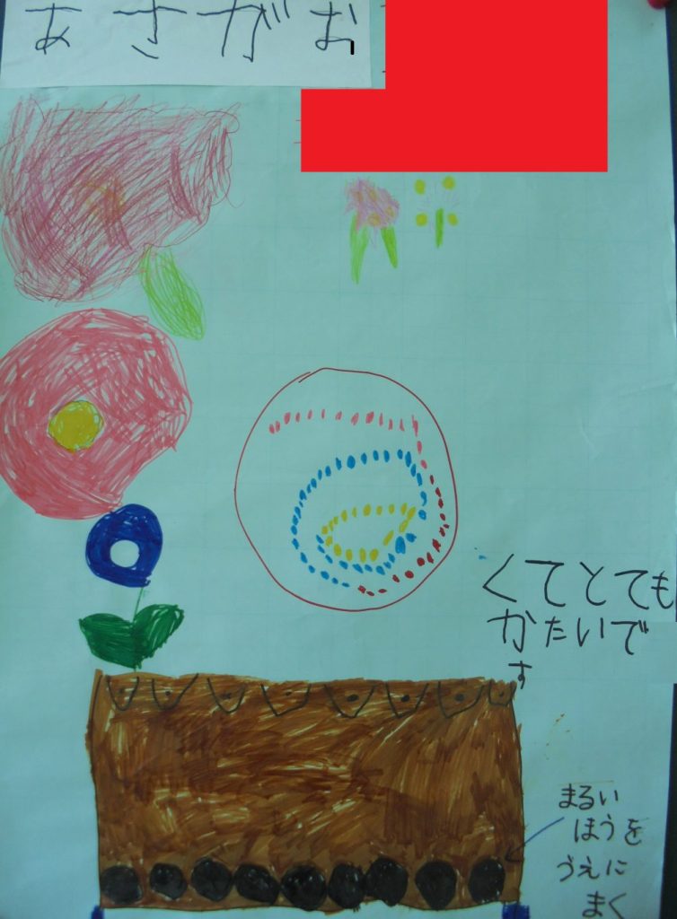 アサガオの種について子供がまとめた作品。種は丸い方を上にしてまくことなどのポイントが押さえられています。