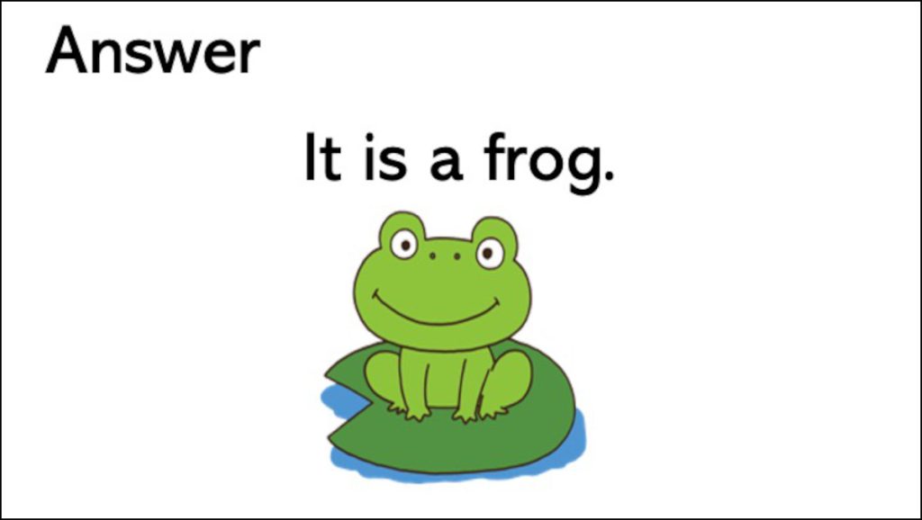 Answer: It is a frog.