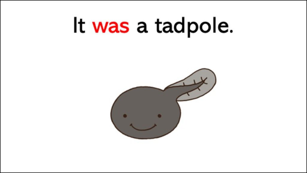 It was a tadpole.