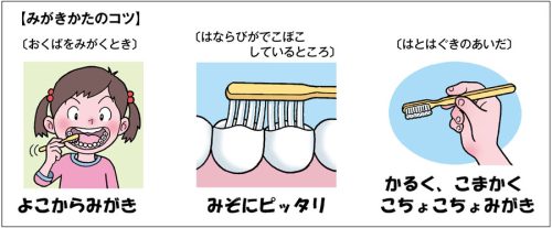 小1特別活動「上手な歯の磨き方~6歳臼歯は歯の王子様」指導アイデア|みんなの教育技術