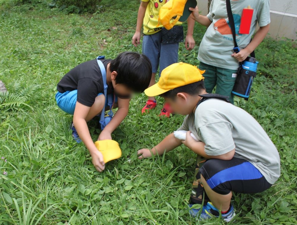 校庭でコオロギを見付けて、捕まえようとしている子供