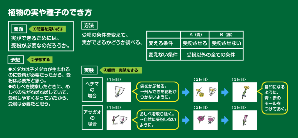 板書例の画像（１枚目）