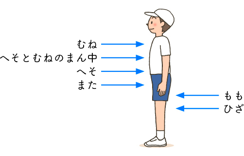 図説２