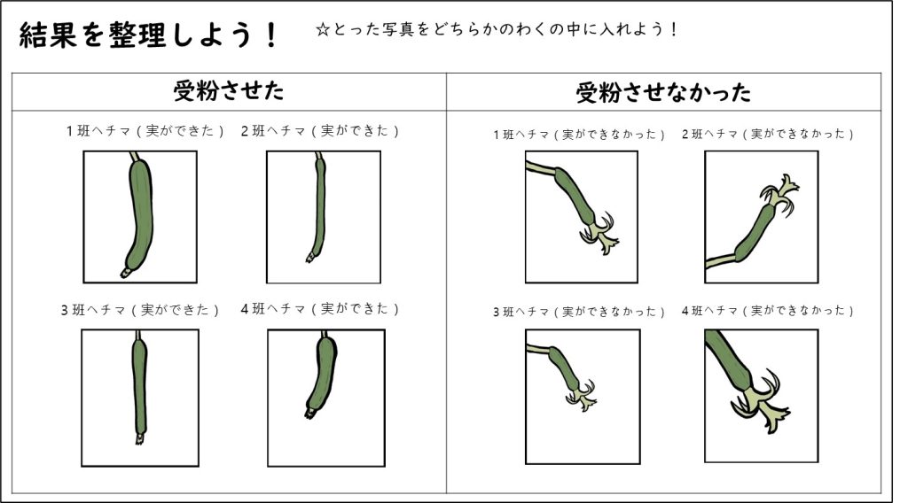 共有ノート例の画像