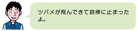 鉄棒【器械運動】　教師の説明