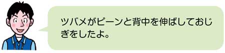 鉄棒【器械運動】　教師の説明