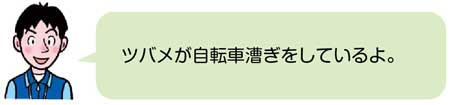 鉄棒【器械運動】　教師の説明