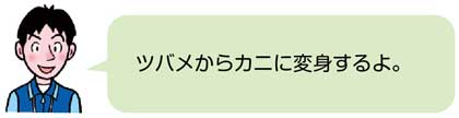 鉄棒【器械運動】　教師の説明