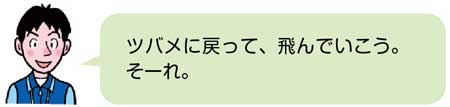 鉄棒【器械運動】　教師の説明