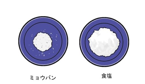 ミョウバンと食塩の取り出せた量のちがい（水の量を減らした結果）