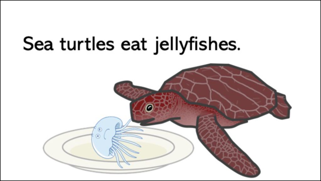 Sea turtles eat jellyfishes.