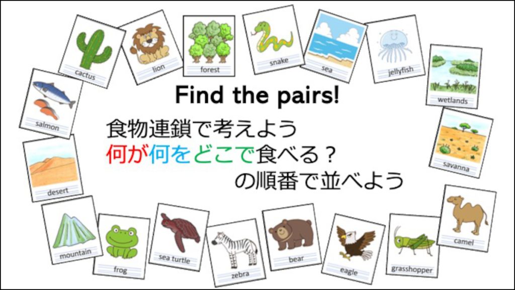 Find the pairs!
食物連鎖で考えよう
何が何をどこで食べる？
の順番で並べよう