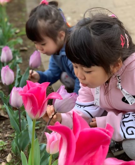 「すごくいいにおい。春の香りだ」とつぶやく子供。