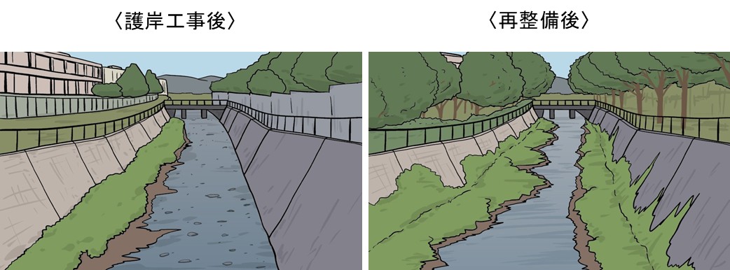 護岸工事後と再整備後の川の様子のイラスト