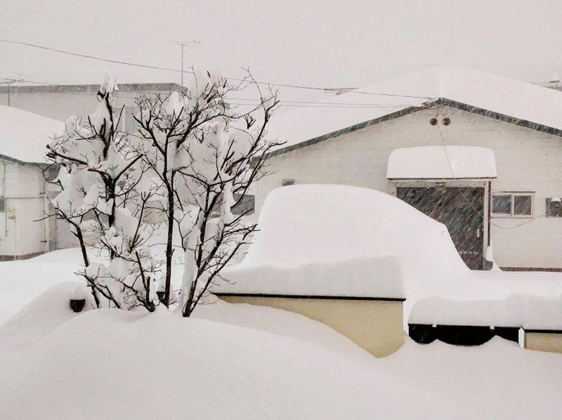 除雪と高齢ドライバー～実体験を教材化する　降雪があったとき、自宅周辺の除雪を考える