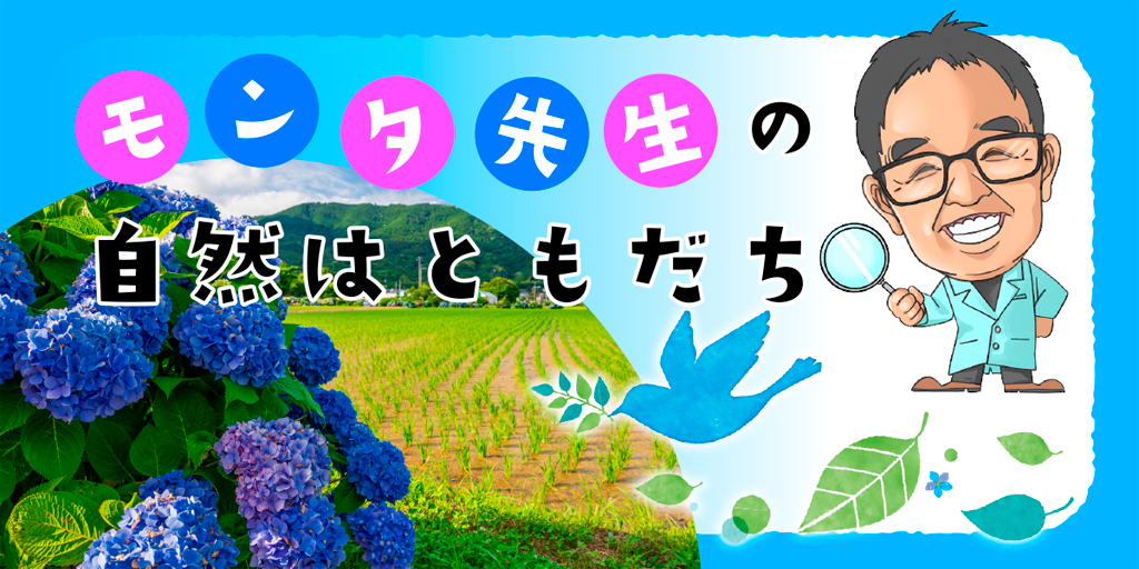 【モンタ先生の自然はともだち】
バナー