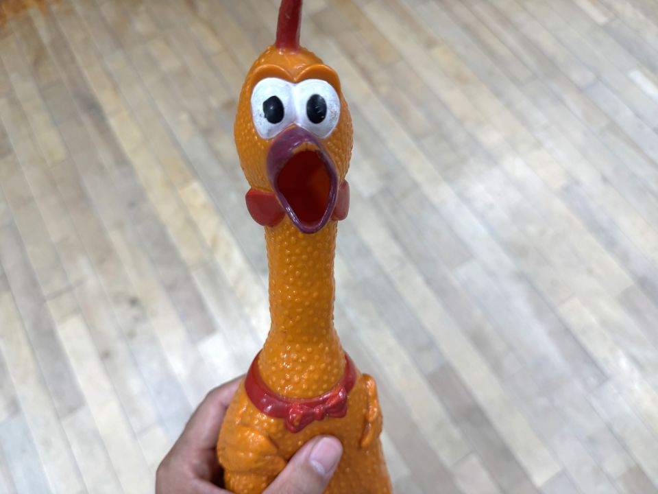 びっくりチキン人形が「ギャーッ」と鳴く。