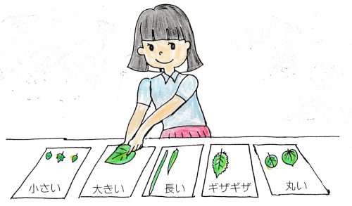 仲間分け作業