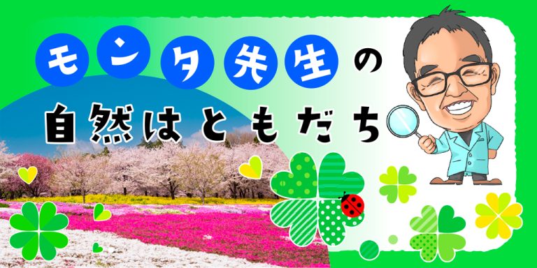 モンタ先生の自然はともだち