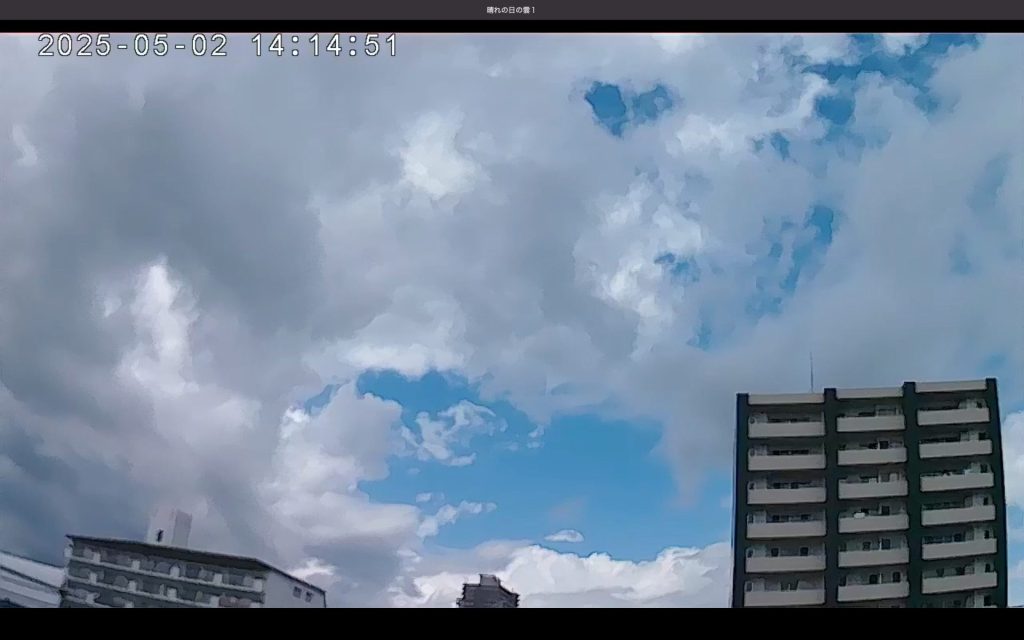 画像7