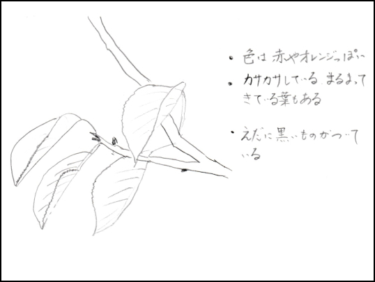 変化した部分に着目した、よいスケッチ例