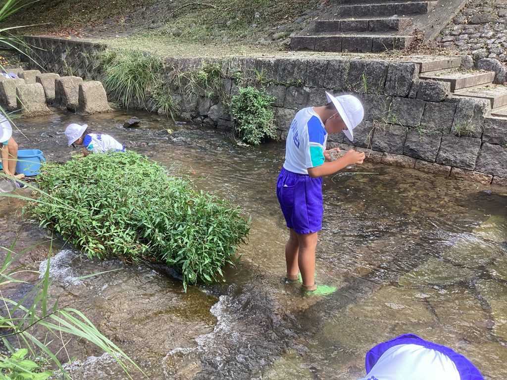川で生き物や景観を観察する子供たち