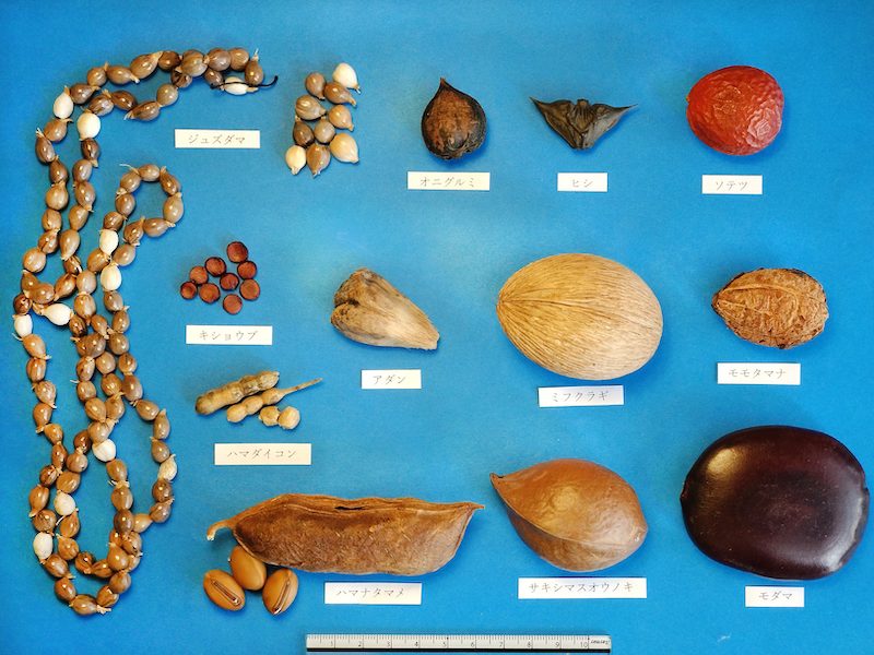 川や海でプカプカ浮かぶんダネ