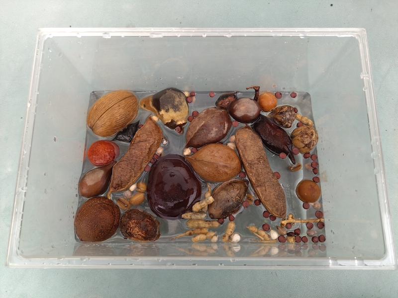 プカプカの様子