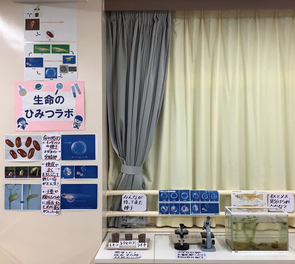 生命のひみつラボ